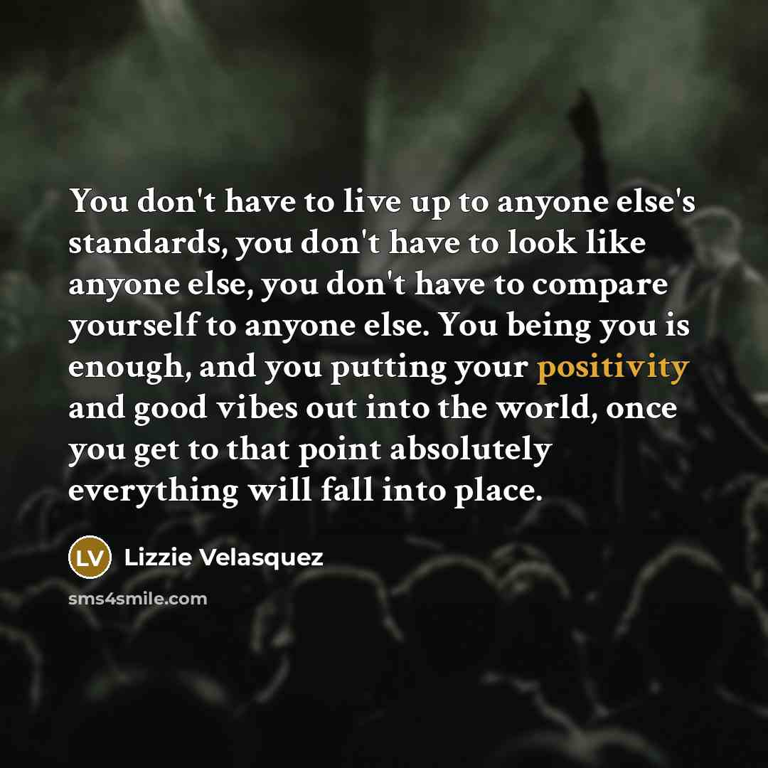 “You don't have to live up to anyone else's standards,…” quote by Lizzie Velasquez