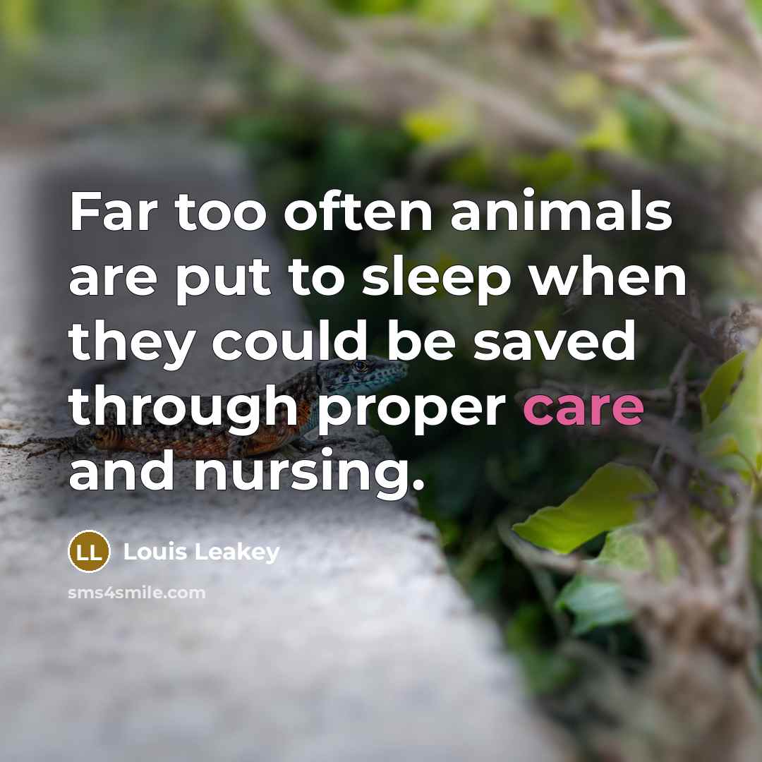“Far too often animals are put to sleep when they…” quote by Louis Leakey