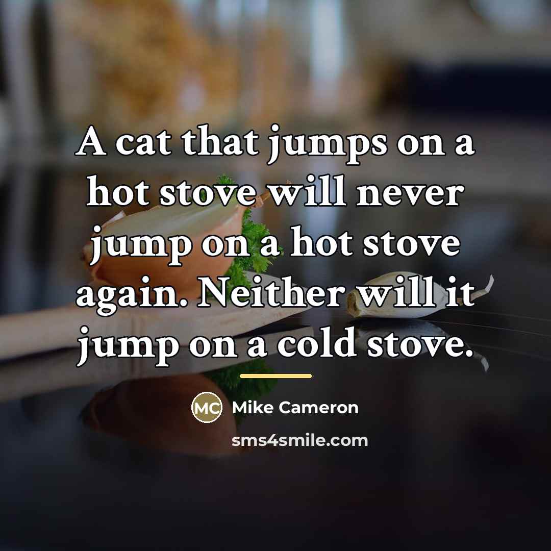 “A cat that jumps on a hot stove will never…” quote by Mike Cameron