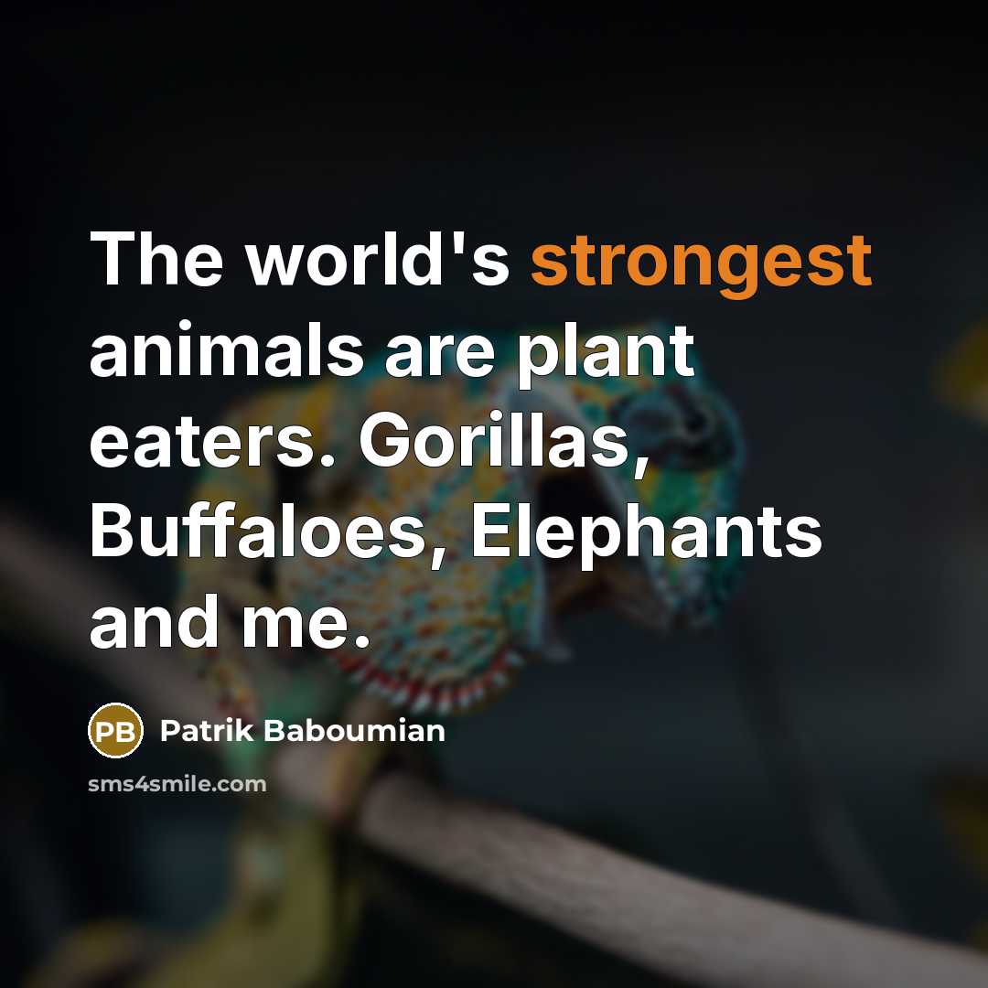 “The world's strongest animals are plant eaters. Gorillas, Buffaloes, Elephants…” quote by Patrik Baboumian
