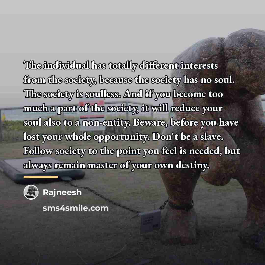 “The individual has totally different interests from the society, because…” quote by Rajneesh