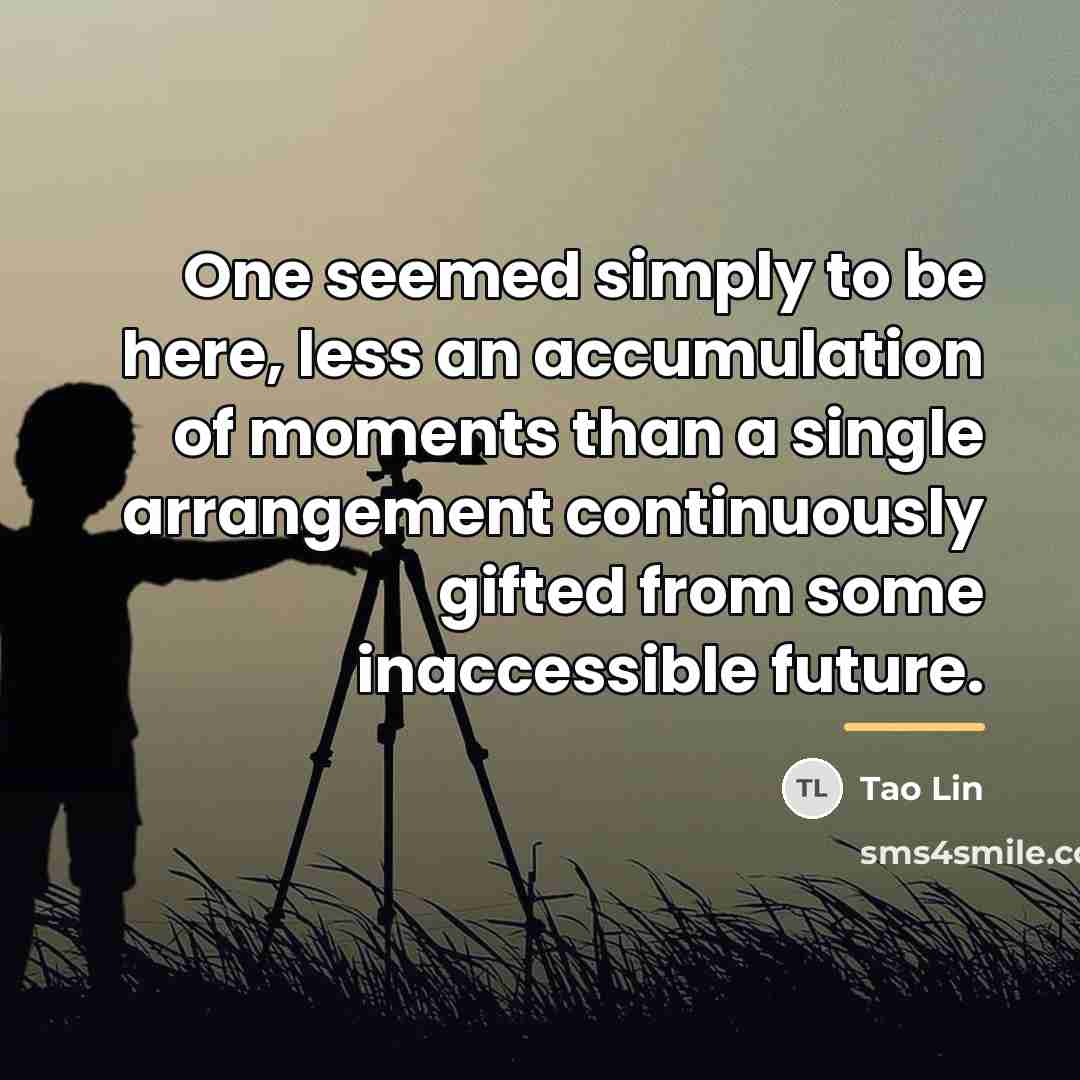 “One seemed simply to be here, less an accumulation of…” quote by Tao Lin