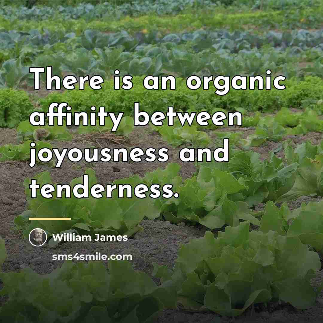“There is an organic affinity between joyousness and tenderness.…” quote by William James