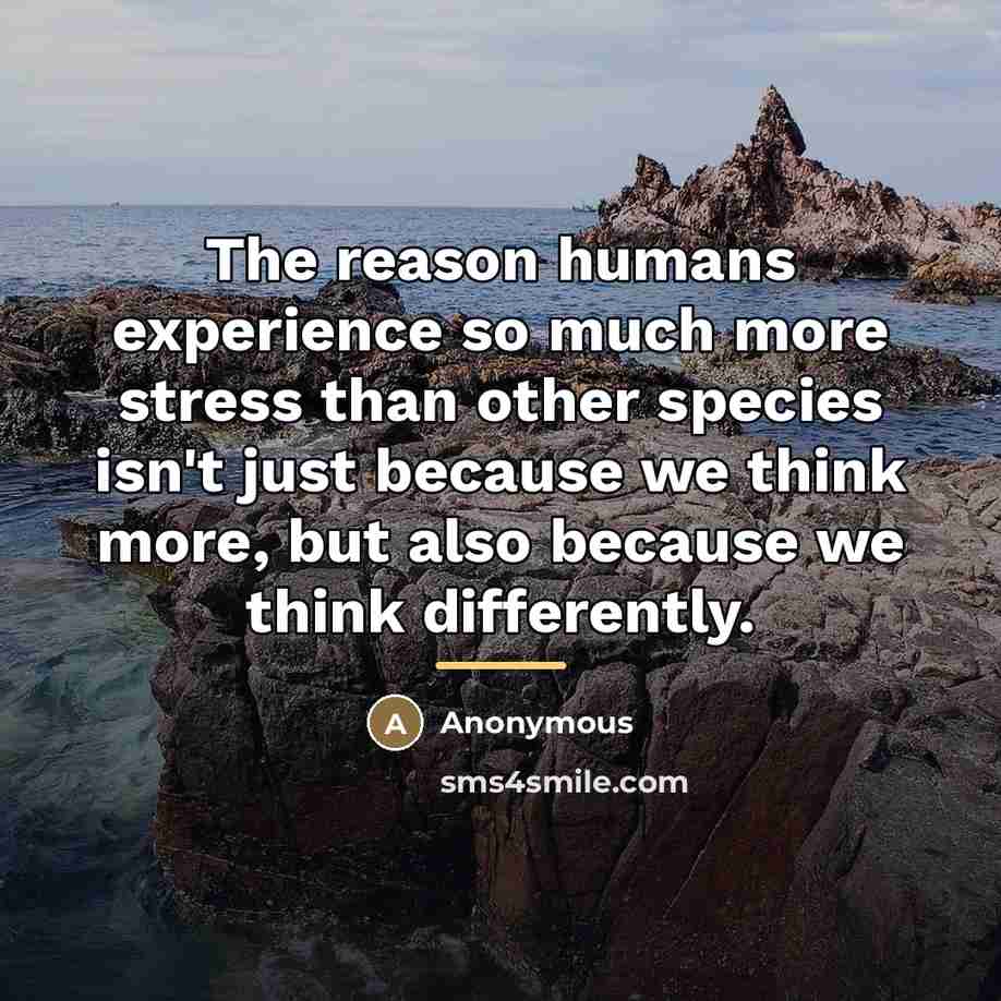 “The reason humans experience so much more stress than other…” quote by Anonymous