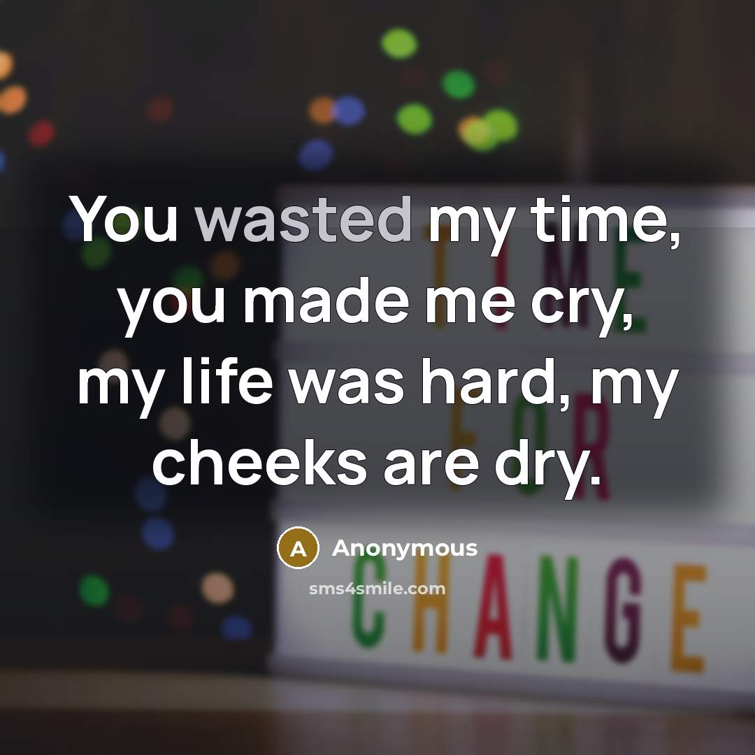 “You wasted my time, you made me cry, my life…” quote by Anonymous