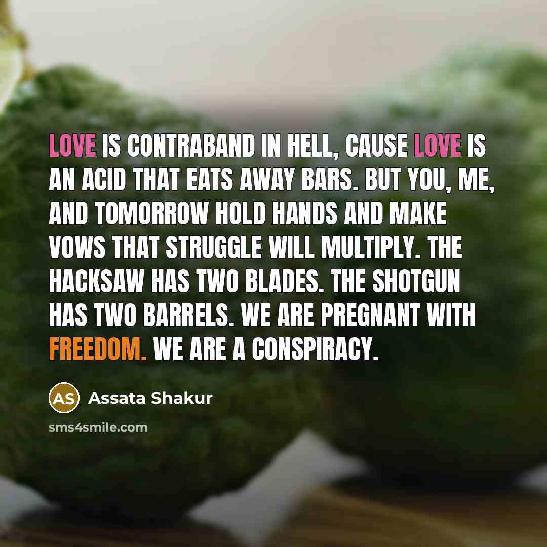 “Love is contraband in Hell, cause love is an acid…” quote by Assata Shakur
