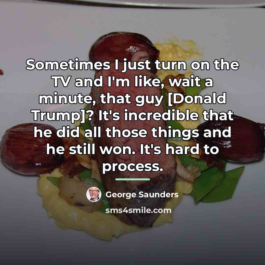 “Sometimes I just turn on the TV and I'm like,…” quote by George Saunders