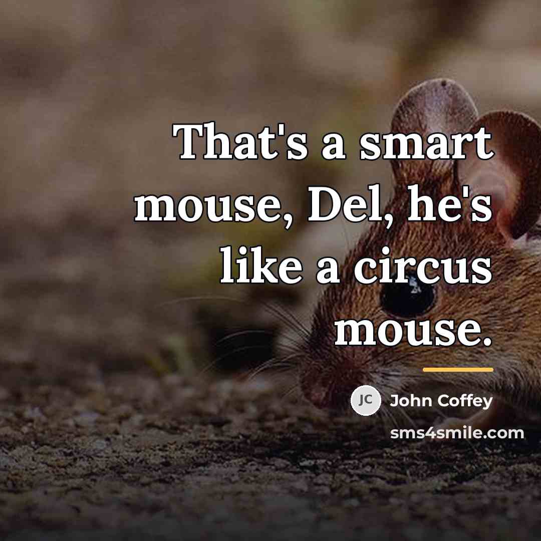 “That's a smart mouse, Del, he's like a circus mouse.…” quote by John Coffey