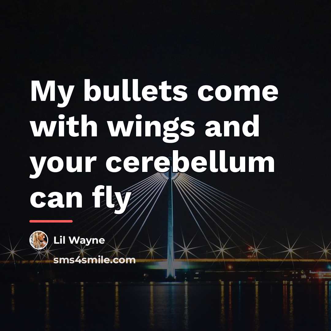 “My bullets come with wings and your cerebellum can fly…” quote by Lil Wayne