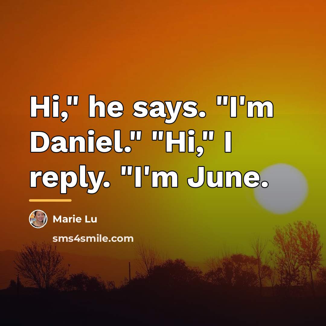 “Hi," he says. "I'm Daniel." "Hi," I reply. "I'm June.…” quote by Marie Lu