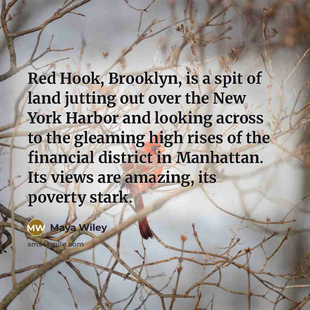 “Red Hook, Brooklyn, is a spit of land jutting out…” quote by Maya Wiley