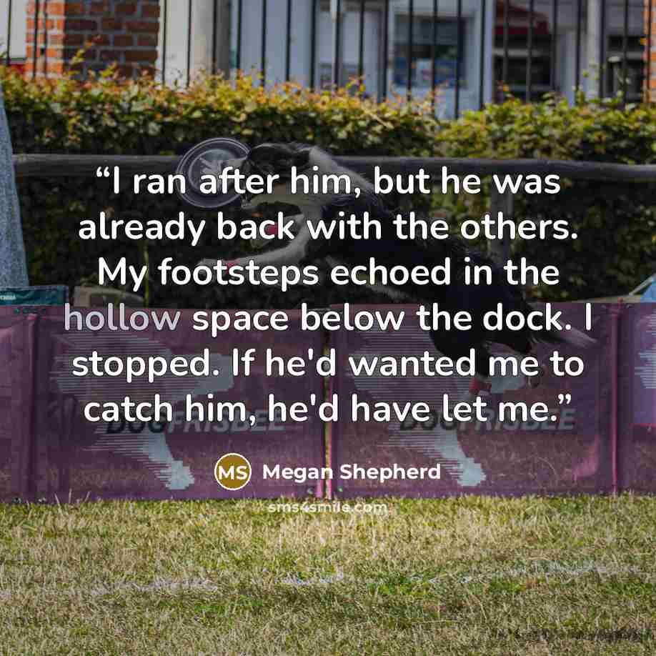 “I ran after him, but he was already back with the others. My footsteps echoed in the hollow space below the dock. I stopped. If he'd wanted me to catch him, he'd have let me.” quote by Megan Shepherd