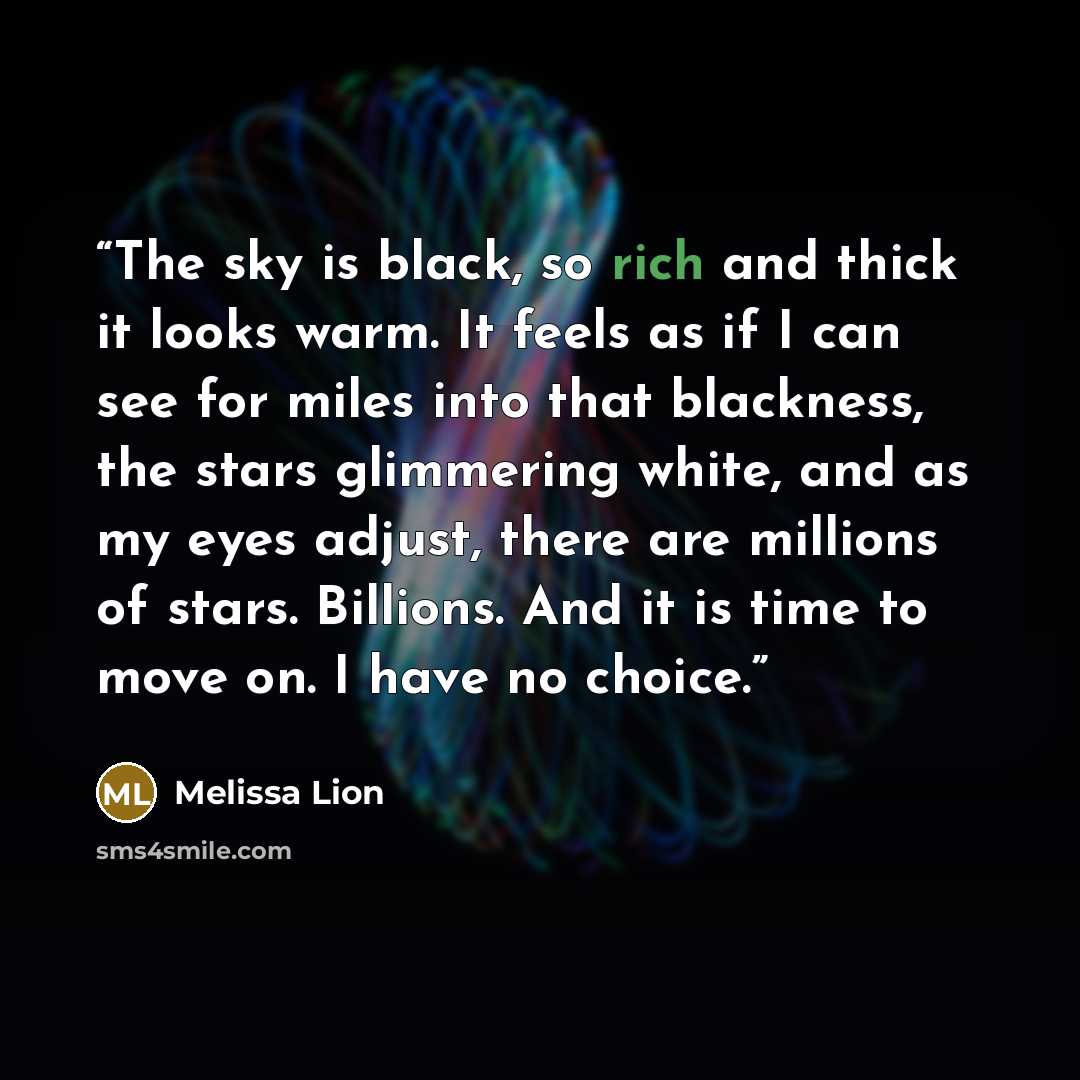 “The sky is black, so rich and thick it looks warm. It feels as if I can see for miles into that blackness, the stars glimmering white, and as my eyes adjust, there are millions of stars. Billions. And it is time to move on. I have no choice.” quote by Melissa Lion