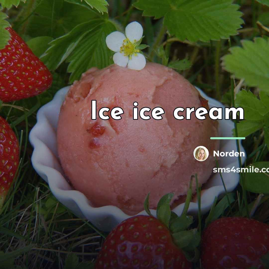“Ice ice cream…” quote by Norden