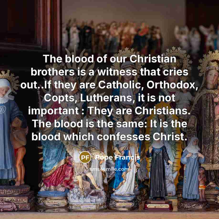 “The blood of our Christian brothers is a witness that…” quote by Pope Francis