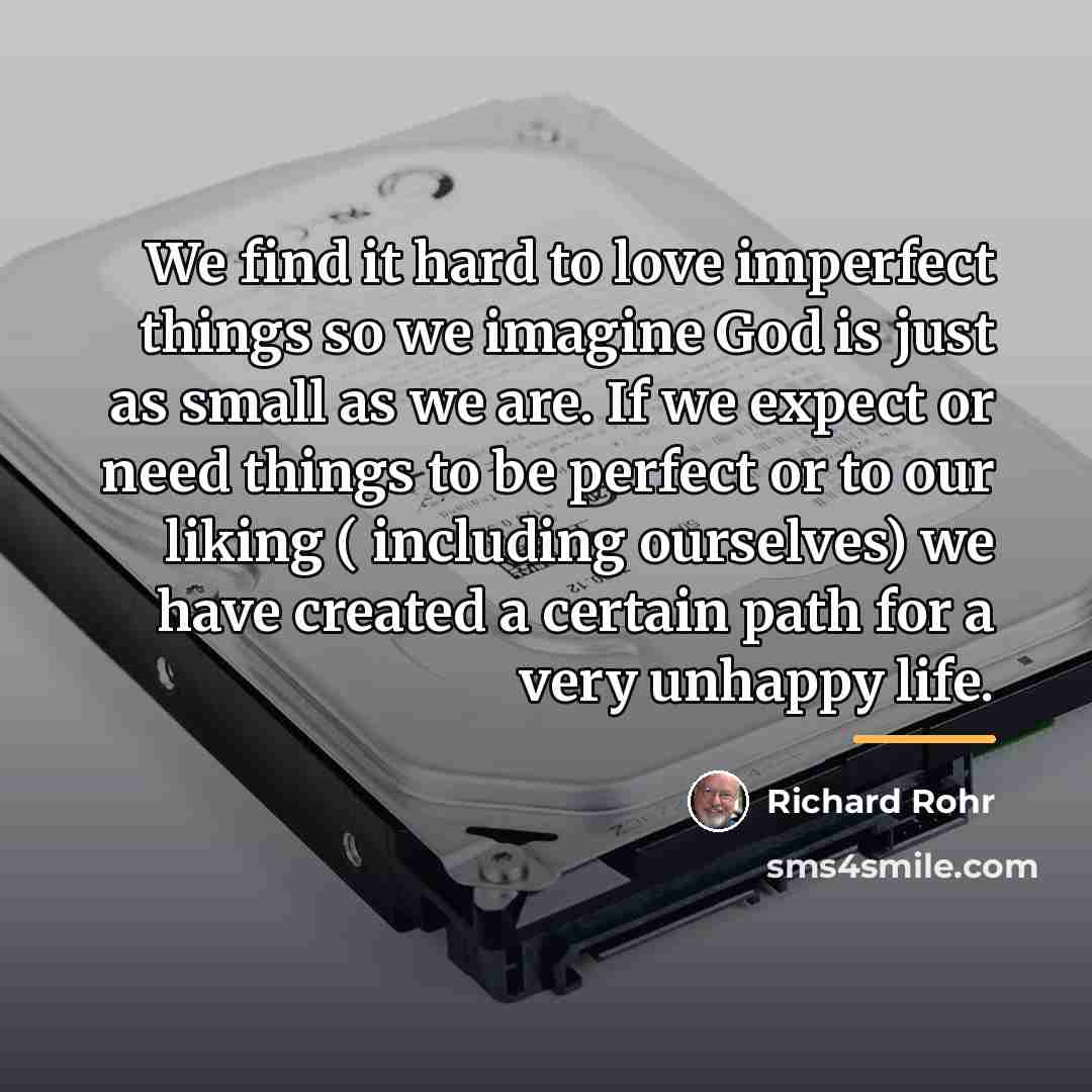 “We find it hard to love imperfect things so we…” quote by Richard Rohr