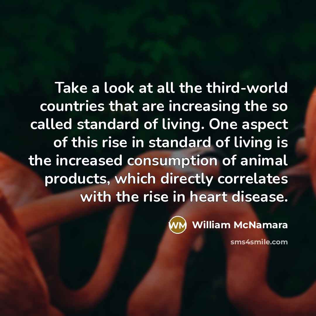 “Take a look at all the third-world countries that are…” quote by William McNamara