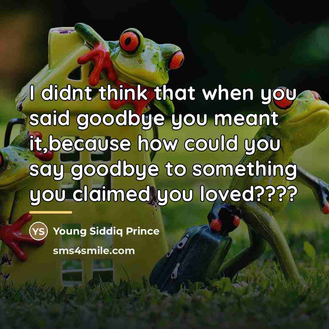 “I didnt think that when you said goodbye you meant…” quote by Young Siddiq Prince