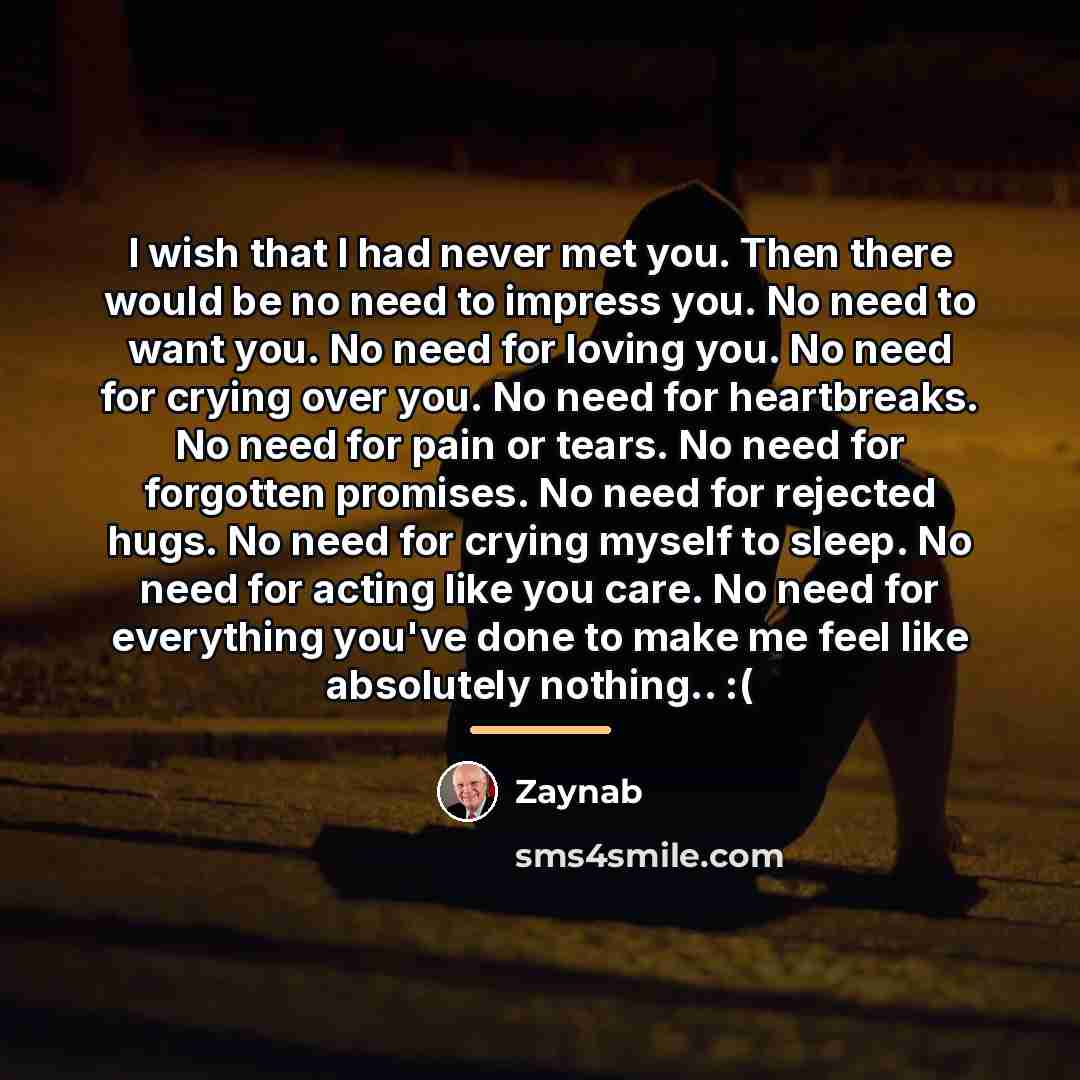 “I wish that I had never met you. Then there…” quote by Zaynab