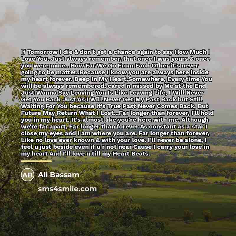 “If Tomorrow I die & don't get a chance again…” quote by Ali Bassam