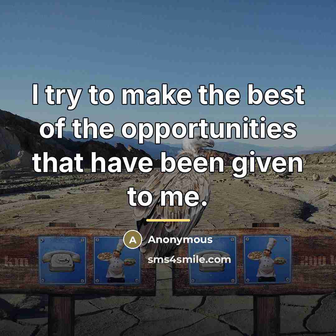 “I try to make the best of the opportunities that…” quote by Anonymous