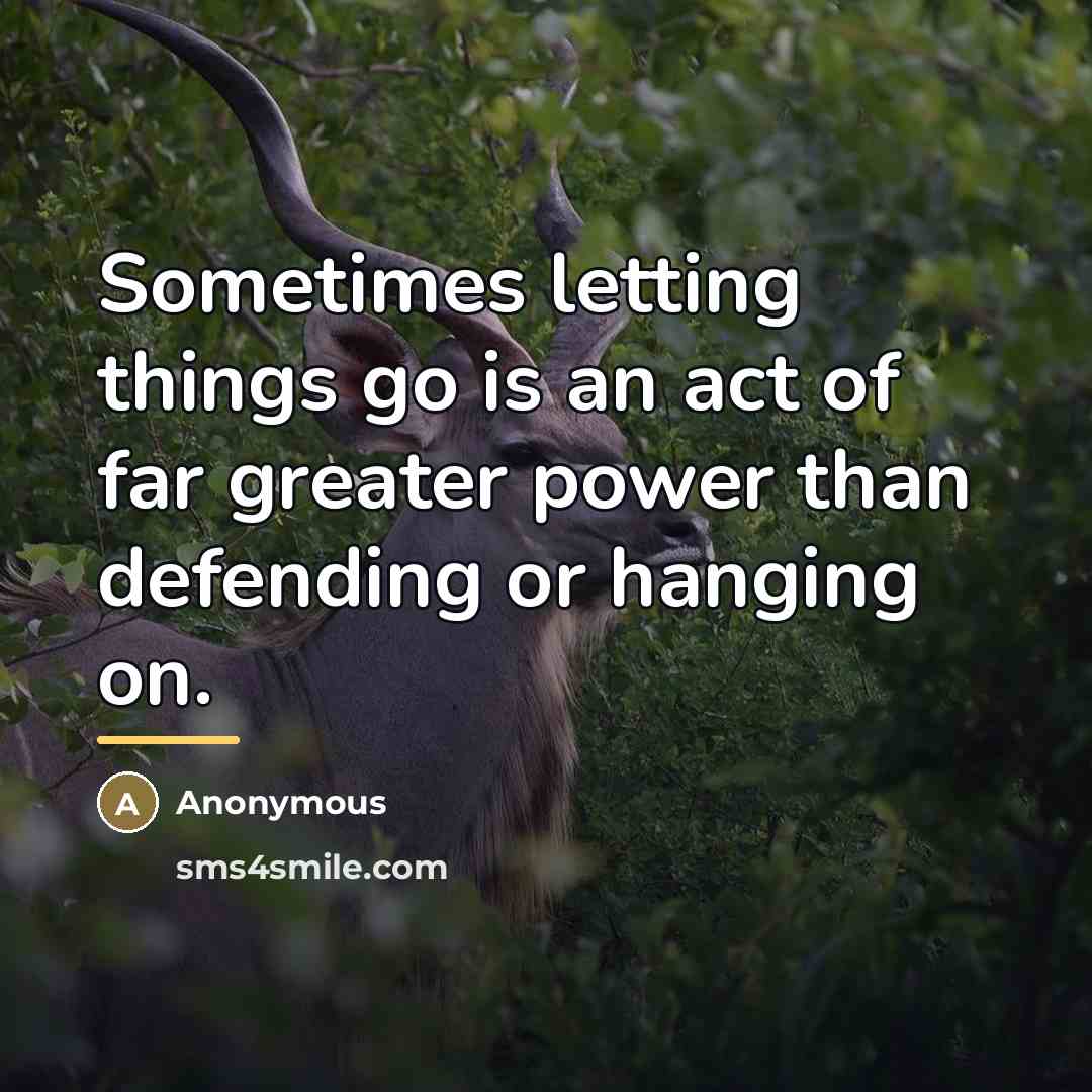 “Sometimes letting things go is an act of far greater…” quote by Anonymous