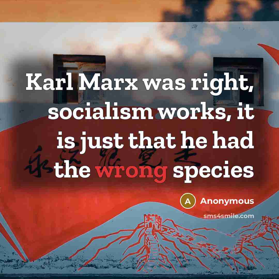 “Karl Marx was right, socialism works, it is just that…” quote by Anonymous