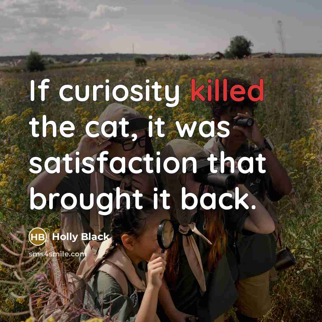 “If curiosity killed the cat, it was satisfaction that brought…” quote by Holly Black