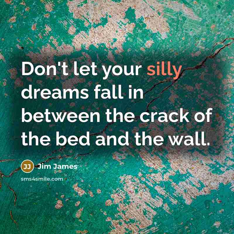 “Don't let your silly dreams fall in between the crack…” quote by Jim James
