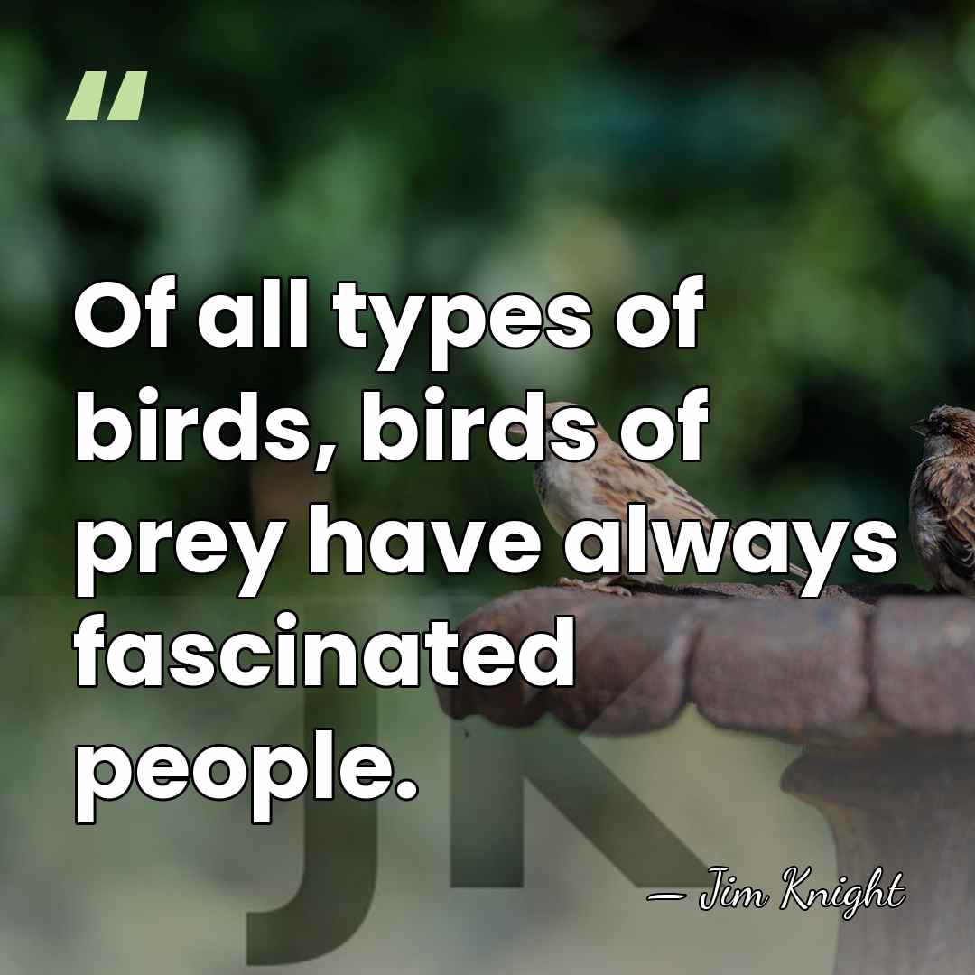 Of all types of birds, birds of prey have always fascinated people. - Jim Knight