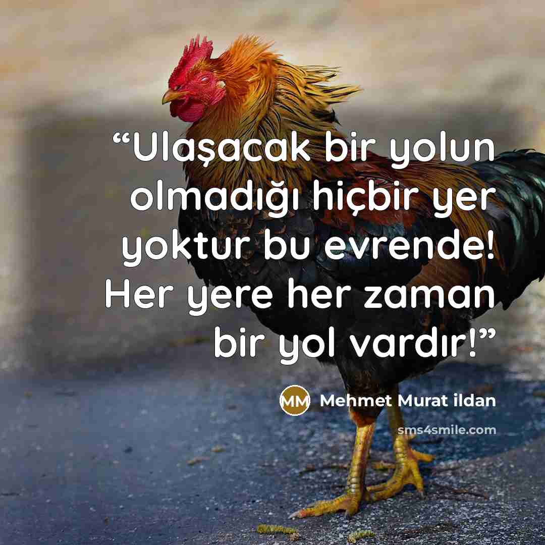 “Ulaşacak bir yolun olmadığı hiçbir yer yoktur bu evrende! Her yere her zaman bir yol vardır!” quote by Mehmet Murat ildan