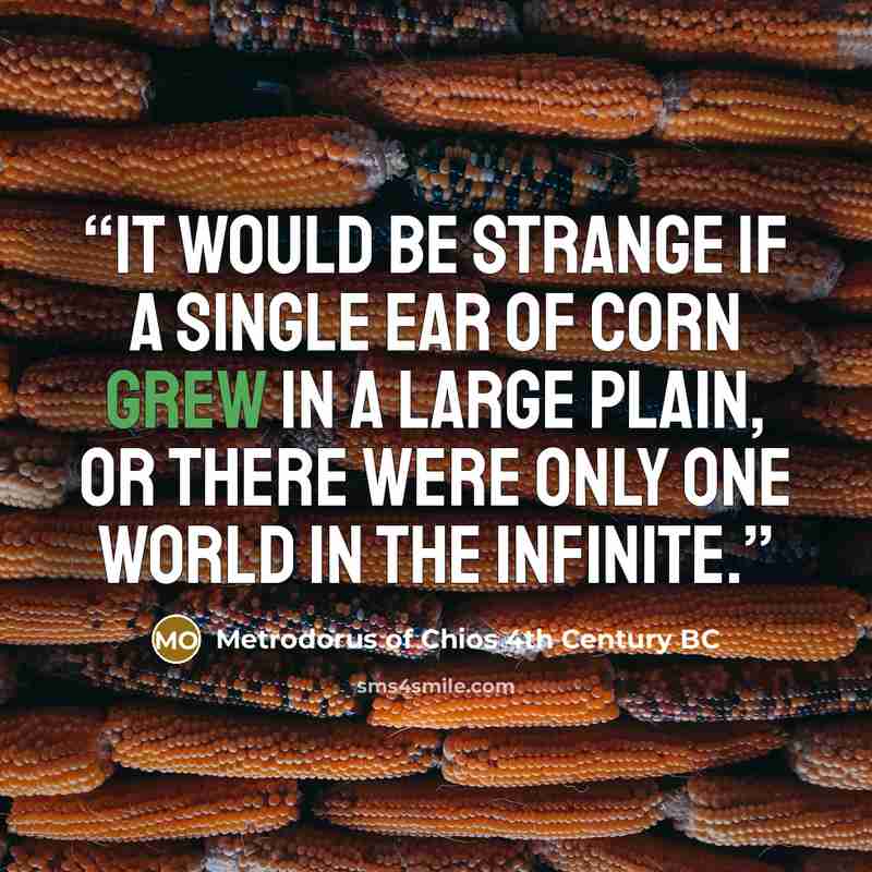 “It would be strange if a single ear of corn grew in a large plain, or there were only one world in the infinite.” quote by Metrodorus of Chios 4th Century BC