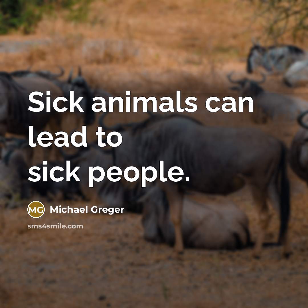 “Sick animals can lead to sick people.…” quote by Michael Greger