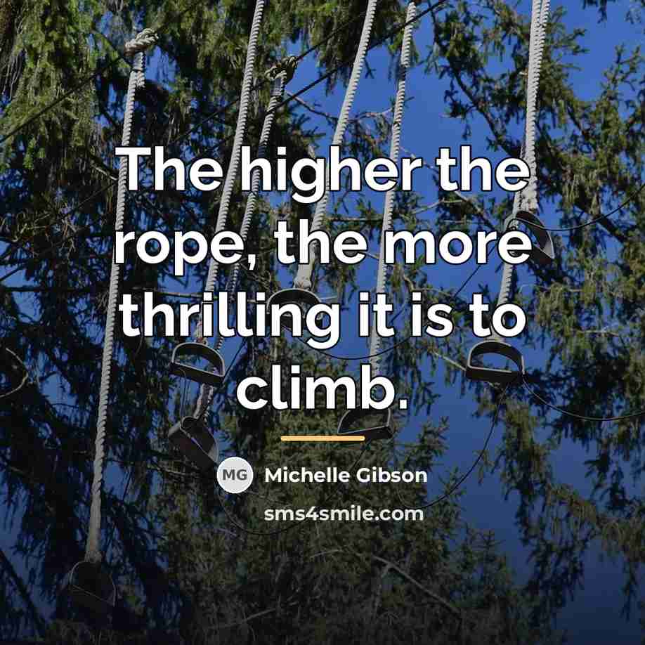 “The higher the rope, the more thrilling it is to…” quote by Michelle Gibson