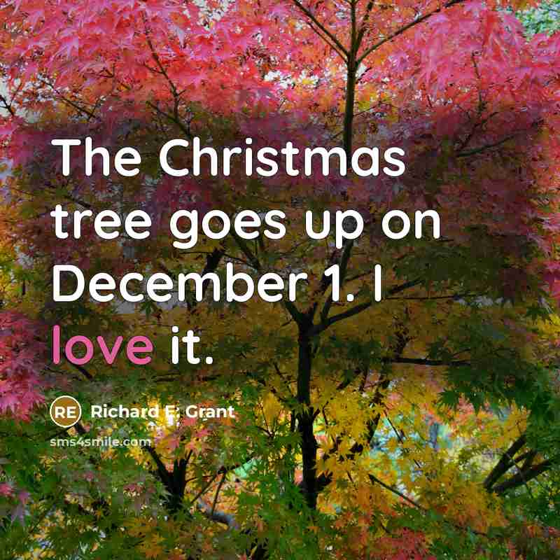 “The Christmas tree goes up on December 1. I love…” quote by Richard E. Grant