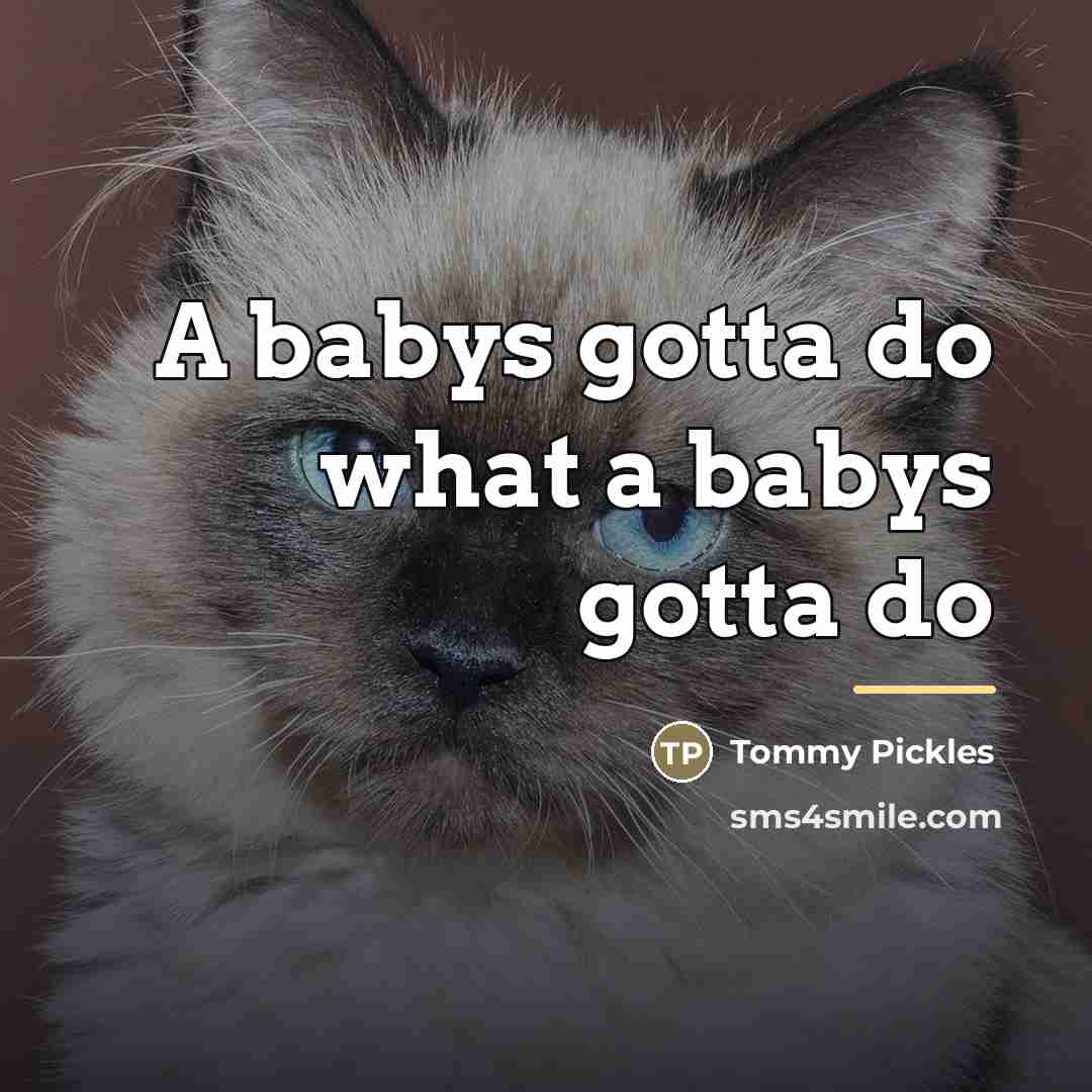 “A babys gotta do what a babys gotta do…” quote by Tommy Pickles
