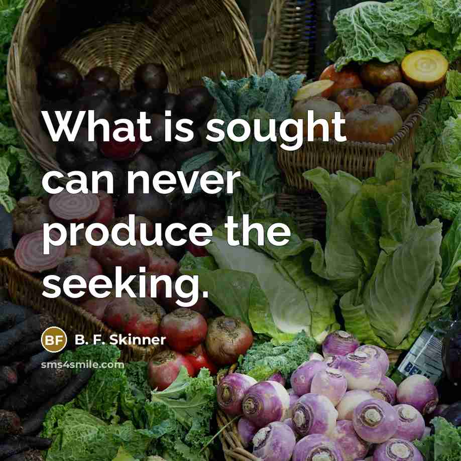 “What is sought can never produce the seeking.…” quote by B. F. Skinner