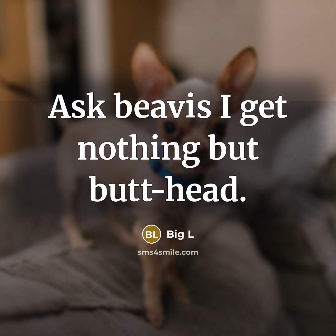 “Ask beavis I get nothing but butt-head.” quote by Big L