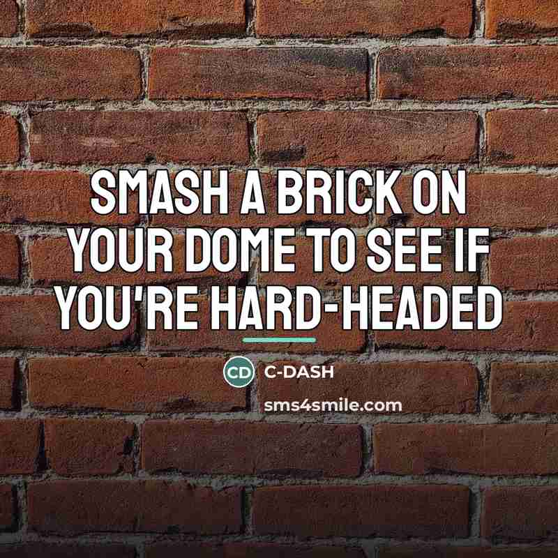 “Smash a brick on your dome to see if you're…” quote by C-DASH