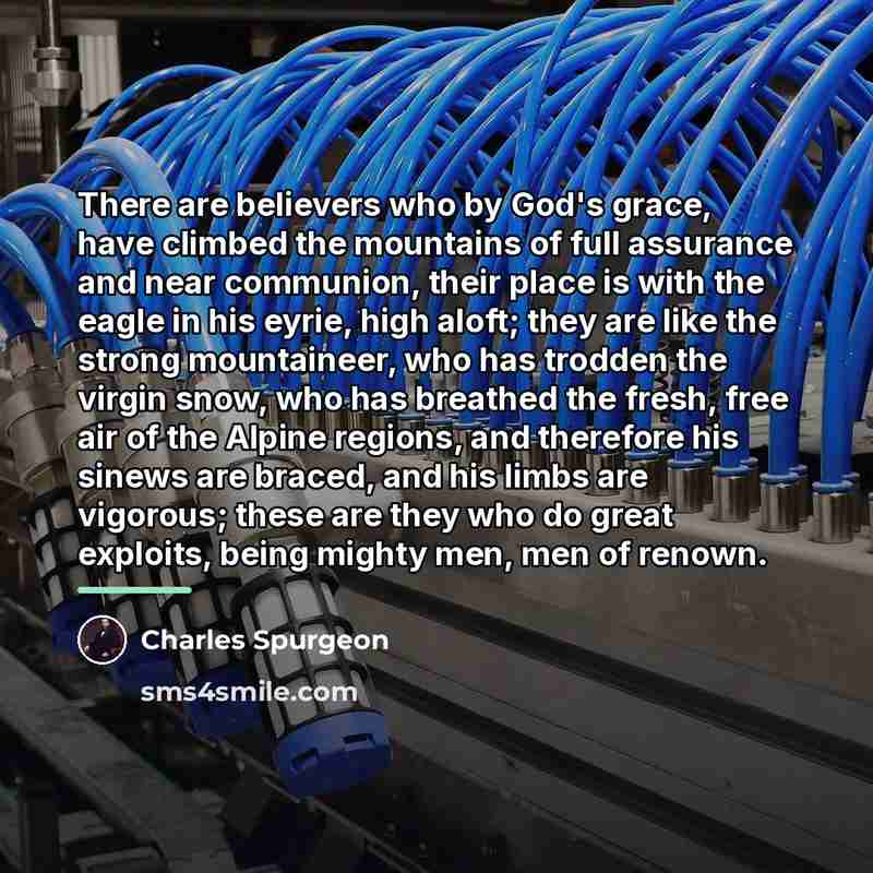 “There are believers who by God's grace, have climbed the…” quote by Charles Spurgeon