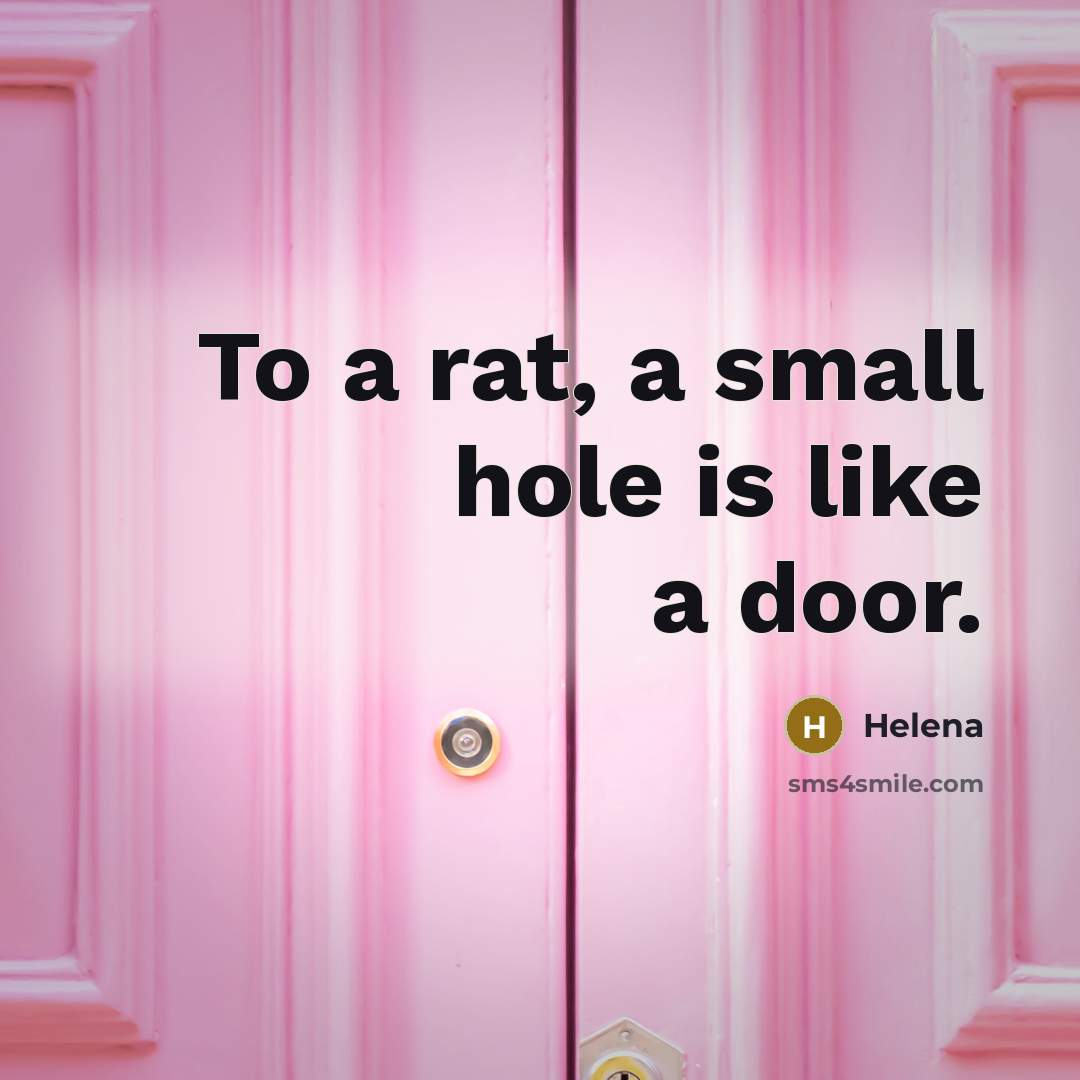 “To a rat, a small hole is like a door.” quote by Helena