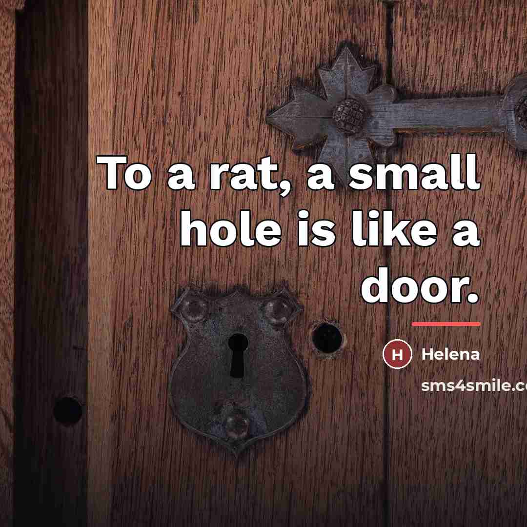 “To a rat, a small hole is like a door.…” quote by Helena