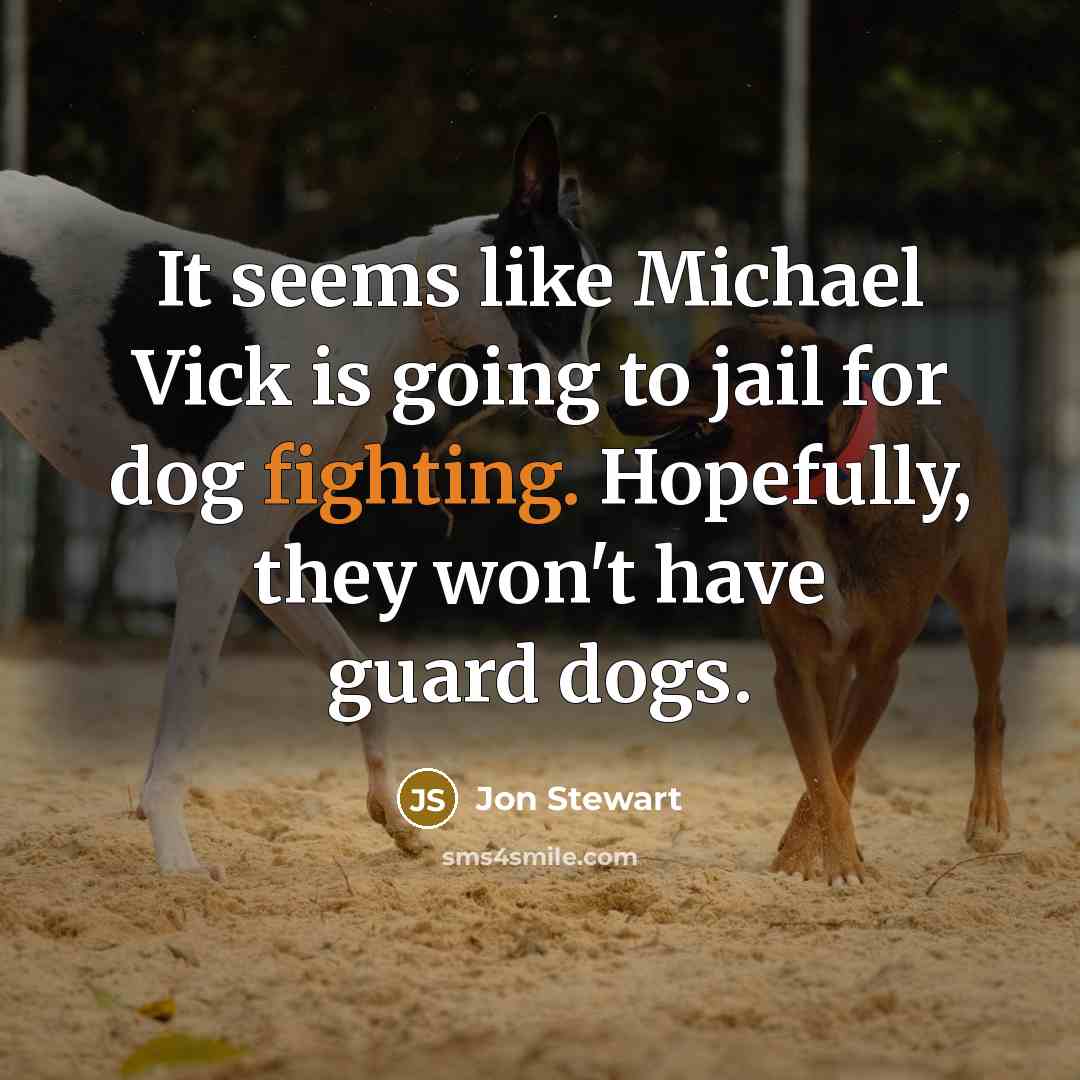 “It seems like Michael Vick is going to jail for…” quote by Jon Stewart