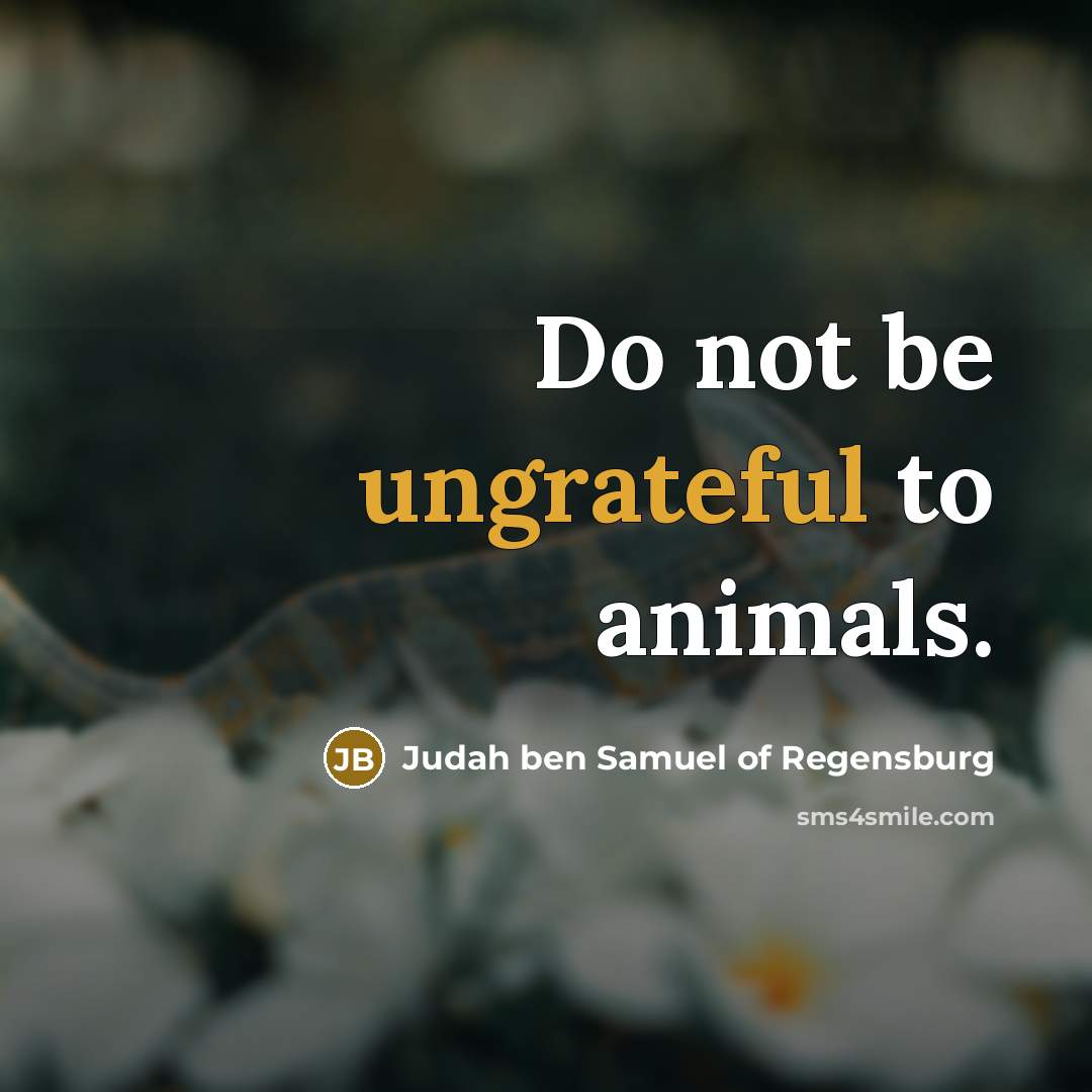 “Do not be ungrateful to animals.…” quote by Judah ben Samuel of Regensburg