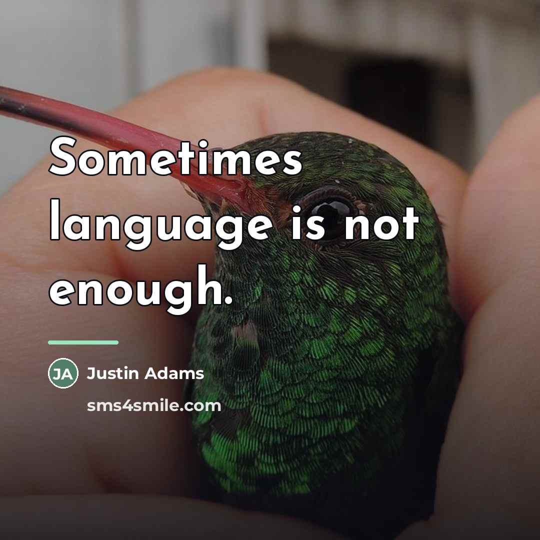 “Sometimes language is not enough.…” quote by Justin Adams