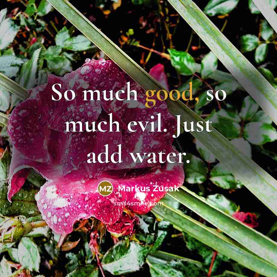 “So much good, so much evil. Just add water.…” quote by Markus Zusak