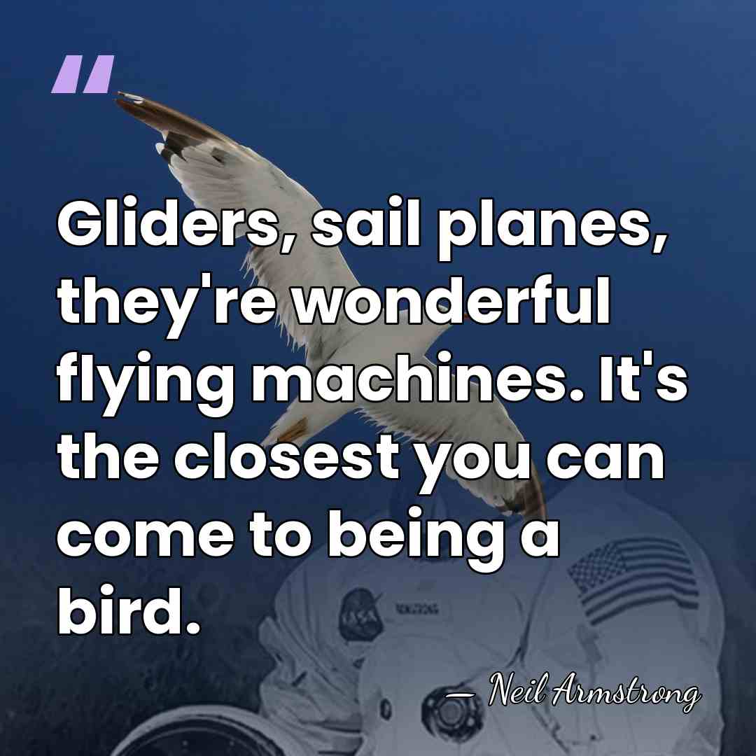 Gliders, sail planes, they're wonderful flying machines. It's the closest you can&hellip; - Neil Armstrong
