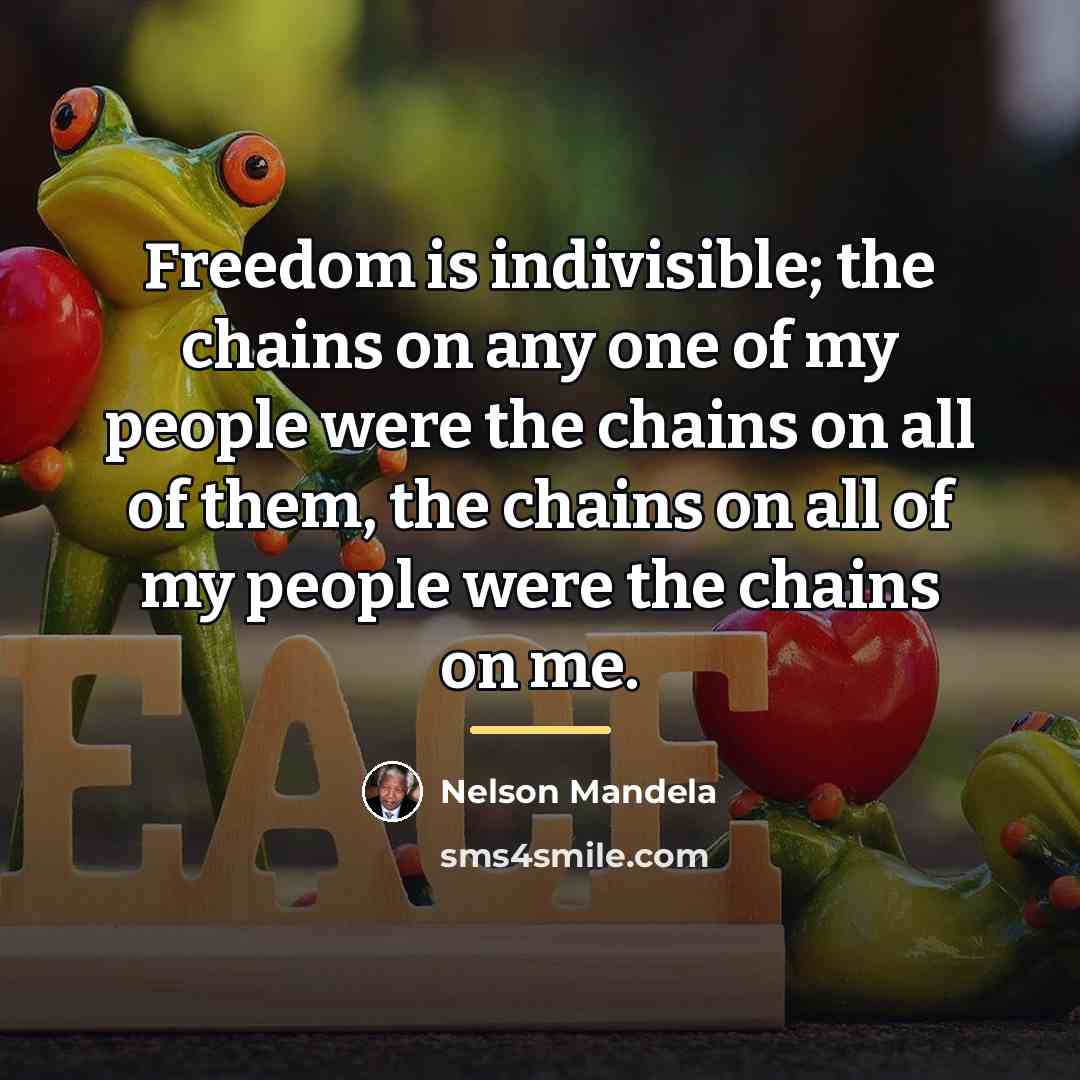 “Freedom is indivisible; the chains on any one of my…” quote by Nelson Mandela