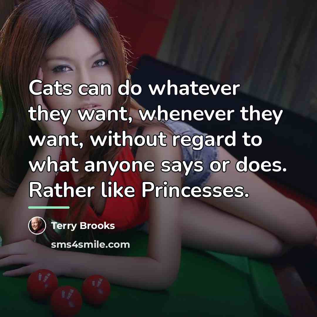 “Cats can do whatever they want, whenever they want, without…” quote by Terry Brooks