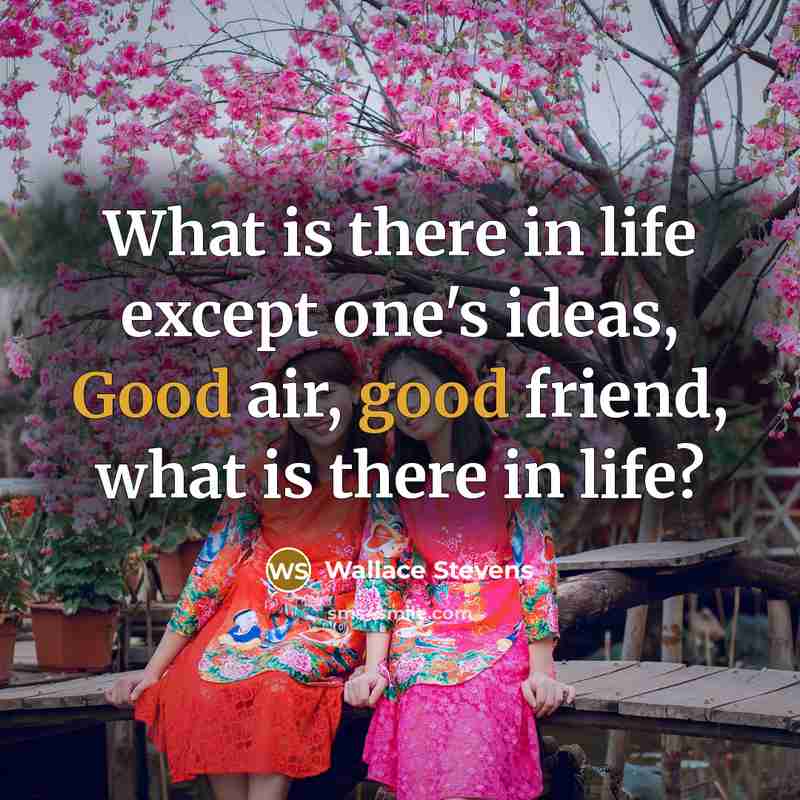 “What is there in life except one's ideas, Good air,…” quote by Wallace Stevens